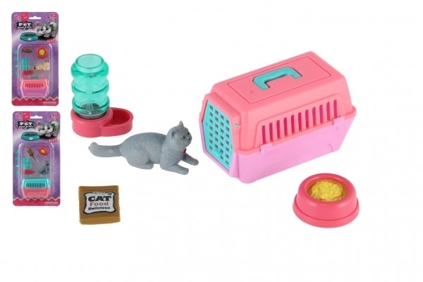 Petit chat avec une boîte de transport et accessoires