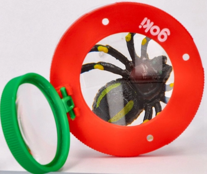 Boîte à insectes avec loupe