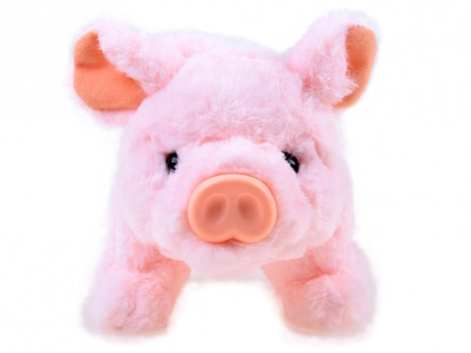 Petit cochon en peluche interactif