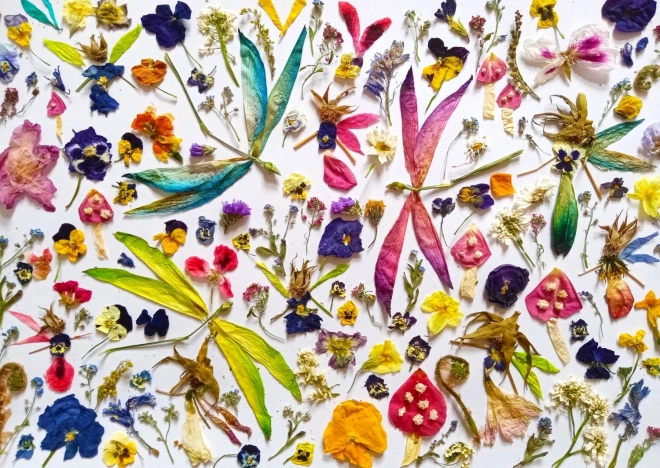 Puzzle Fées et Libellules 1000 pièces