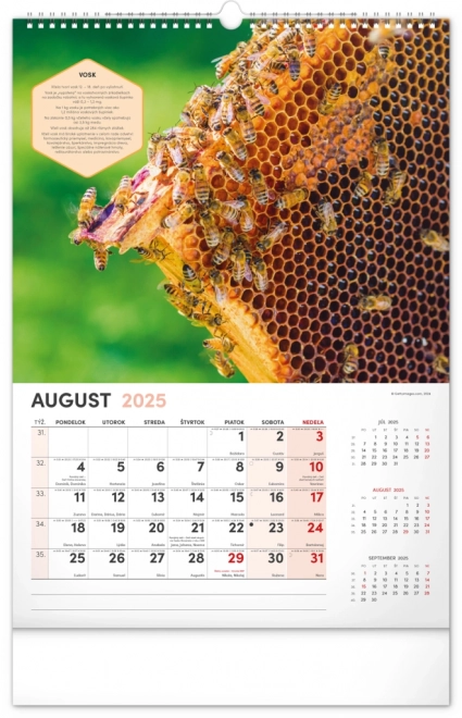 Calendrier mural NOTIQUE Apiculture 2025, 33 x 46 cm