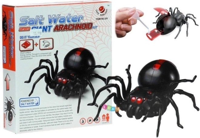 Kit créatif Araignée alimentée à l’eau salée DIY noir