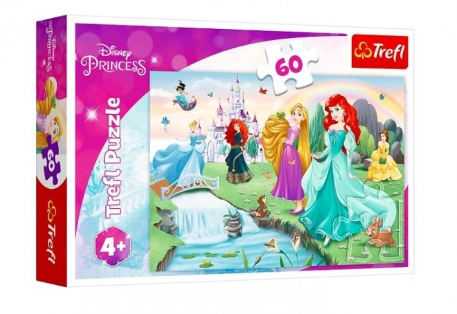 Puzzle Découvrez les princesses 33x22cm 60 pièces dans une boîte 21x14x4cm