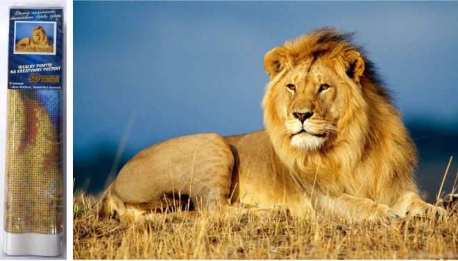 Norimpex Peinture de diamant Majesté du lion 30x40cm