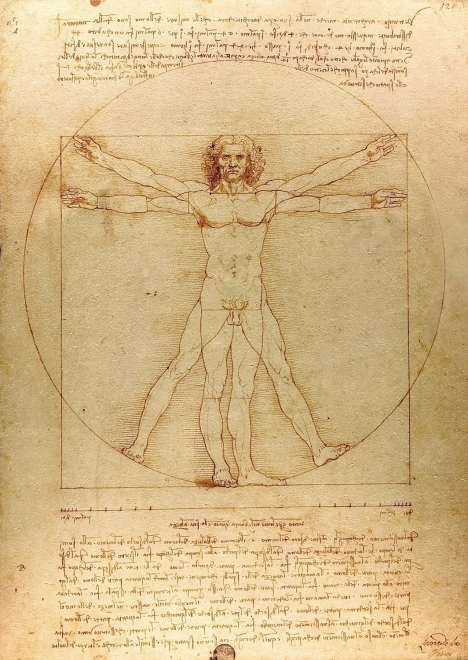Puzzle L’Homme de Vitruve 1000 pièces