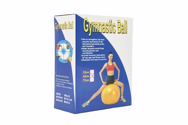 Balle de gymnastique 65cm rééducation relaxation en boîte 16x22cm