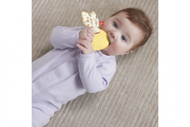 Jouets sensoriels Fisher-Price pour bébés