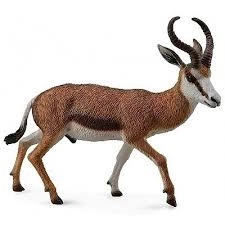 Antilope sauteuse