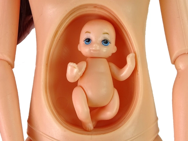 Ventre amovible pour plus de réalisme