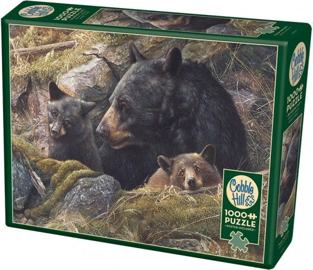 Image de la famille d’ours