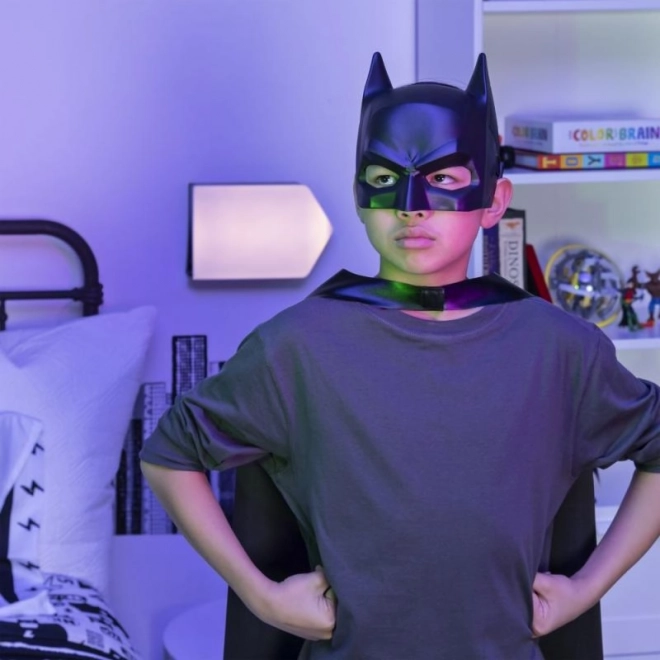 Masque de super-héros DC
