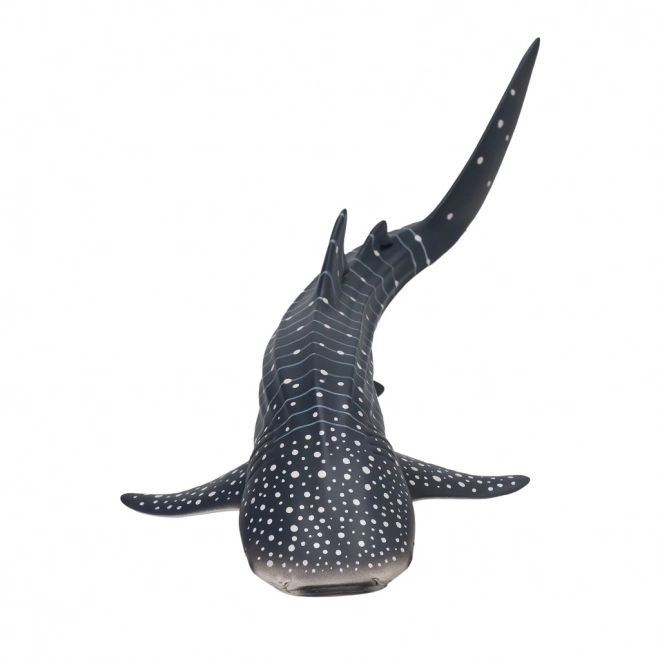 Mojo Requin baleine