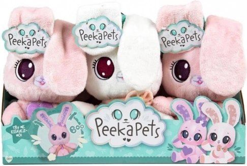 Deux versions disponibles