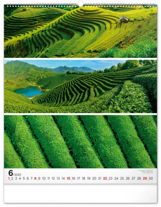 NOTIQUE Calendrier mural Palette 2025, 48 x 56 cm