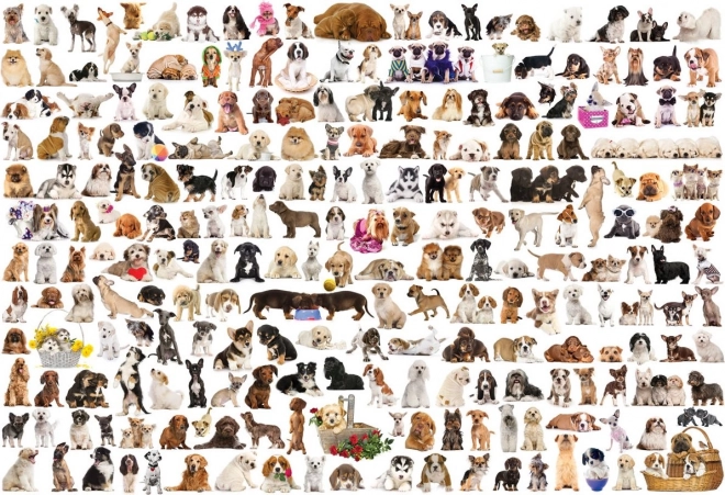 EUROGRAPHICS puzzle Monde des chiens 2000 pièces