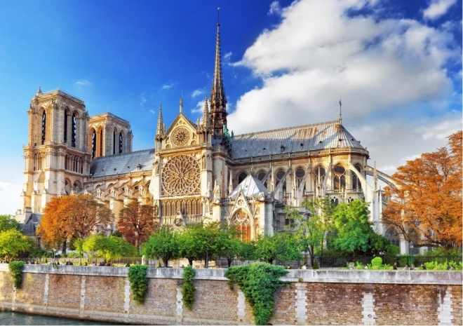 Puzzle Notre-Dame à Paris 2000 pièces BLUEBIRD