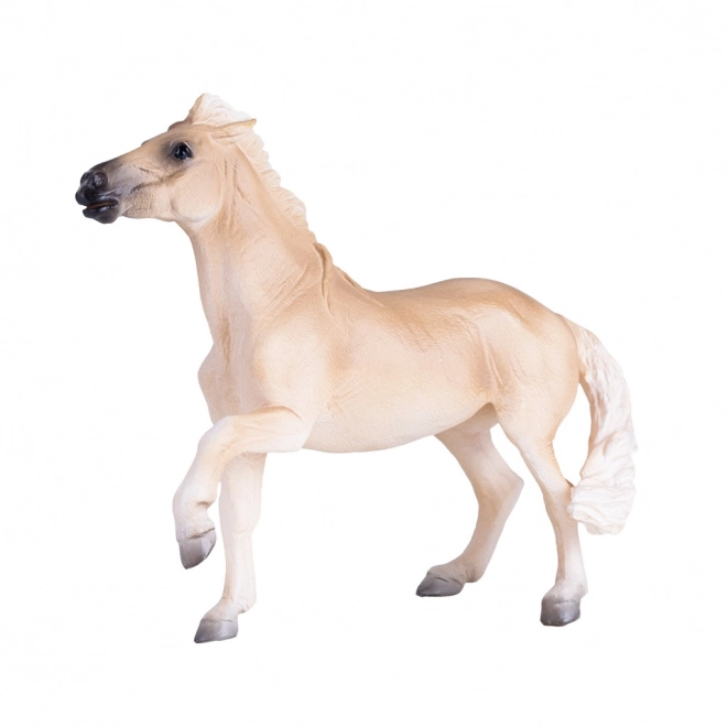 Mojo Cheval Brumby Mare