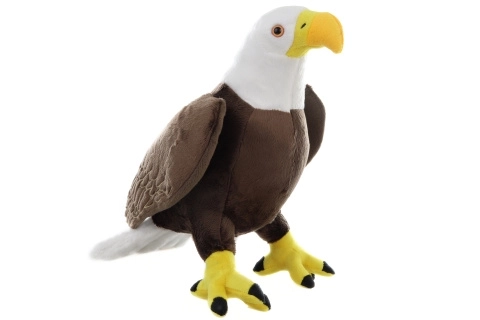 Peluche Aigle à tête blanche grand