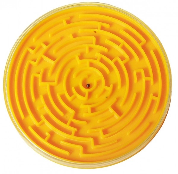 Labyrinthe (jeu d'observation, Direction)