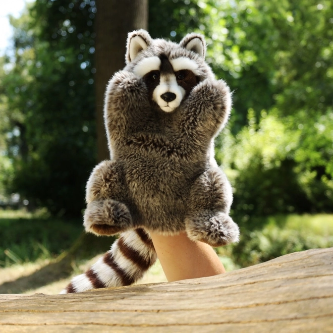 Marionnette raton laveur en peluche 28 cm ECO-FRIENDLY