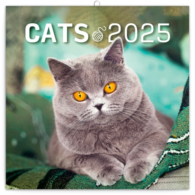 Calendrier de notes Chats 2025, 30 × 30 cm