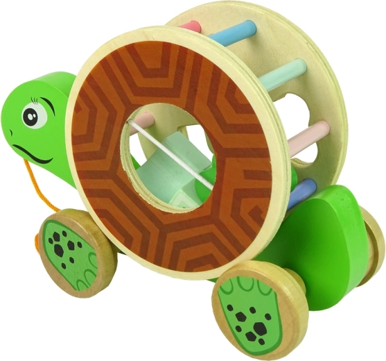 Bois sûr et couleurs attrayantes