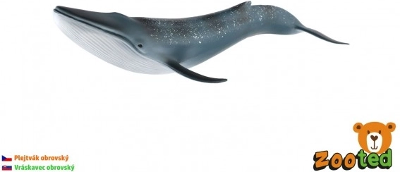 Modèle de rorqual bleu 27 cm