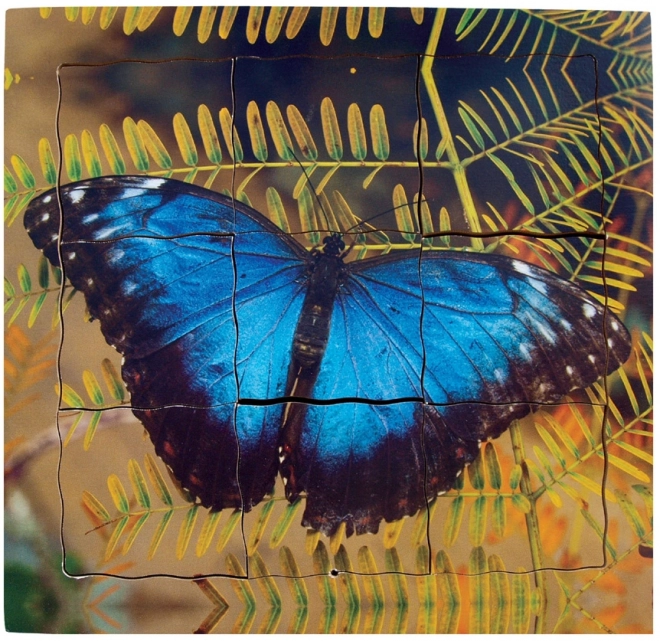 Papillon et son cycle de vie - Puzzle en bois à couches 19 pièces