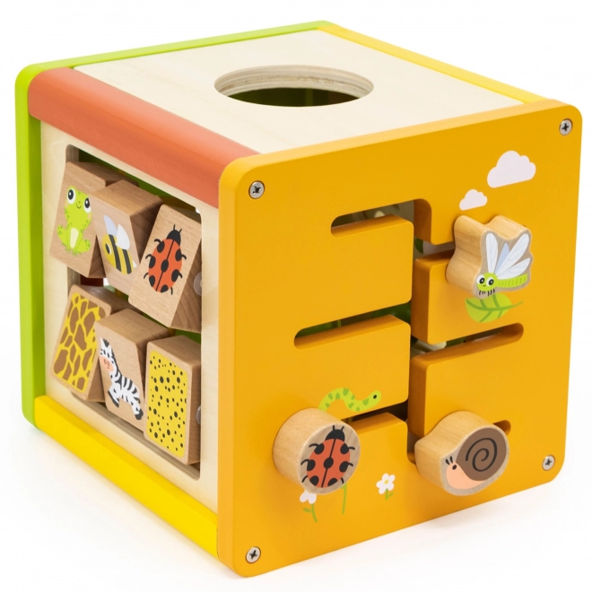 Cube en bois 5 en 1