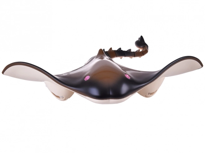Amusante Planche Aquatique RC