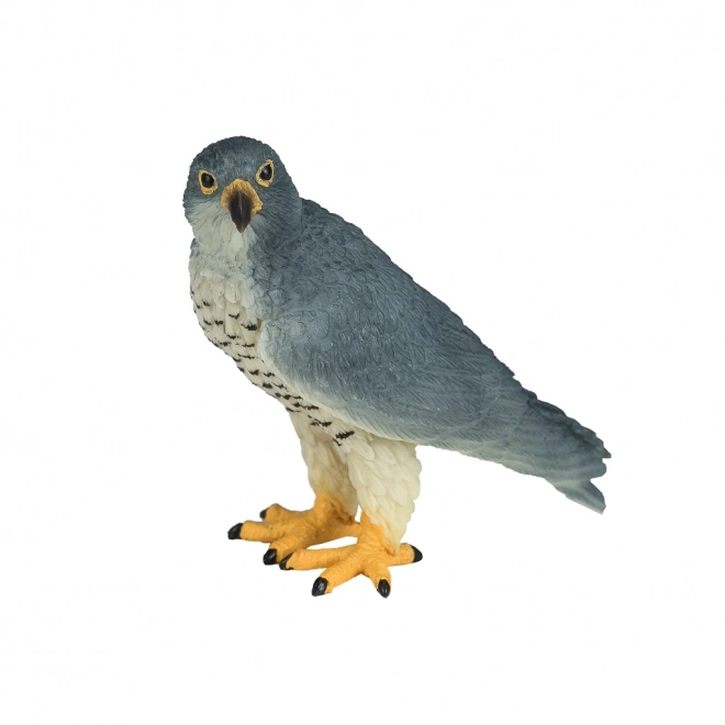 Mojo Faucon pèlerin