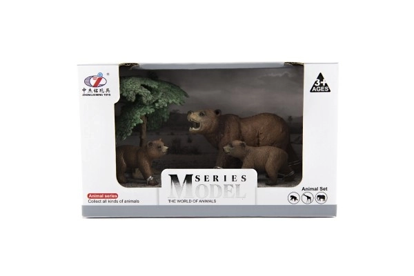 Zoo animaux - Ours