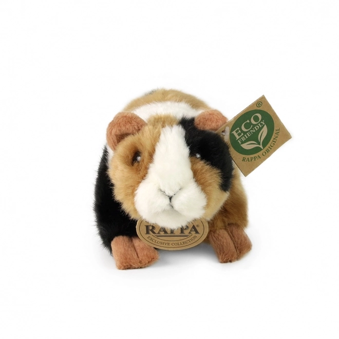 Rappa Morceau en peluche 17 cm ECO-FRIENDLY