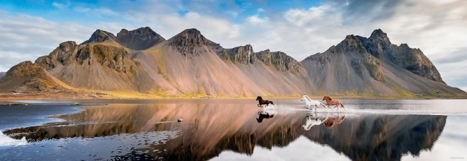 Puzzle 1000 pièces – Islande – chevaux sauvages