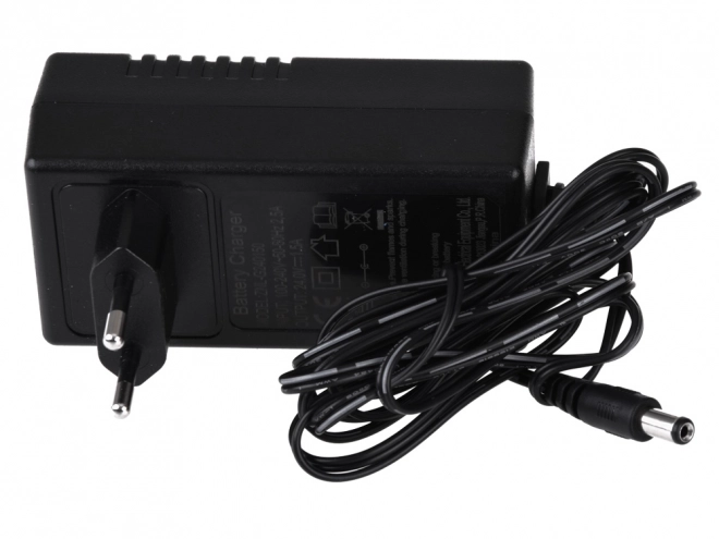 Chargeur pour voitures à batterie 24V avec témoin lumineux