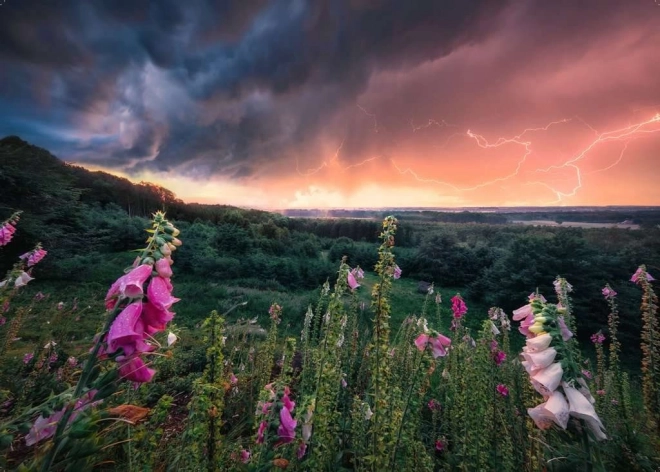 Scène dramatique « Power of Nature »