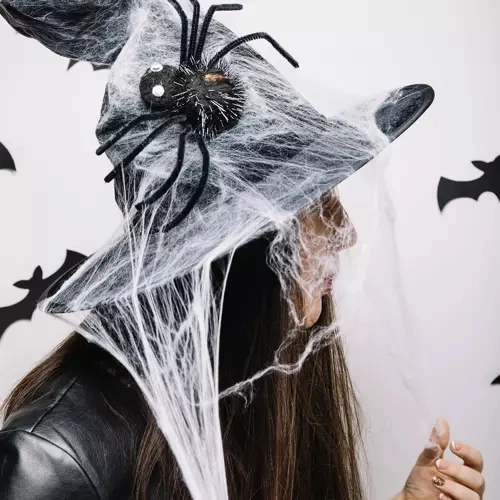 Toile d'araignée artificielle d'Halloween avec araignées