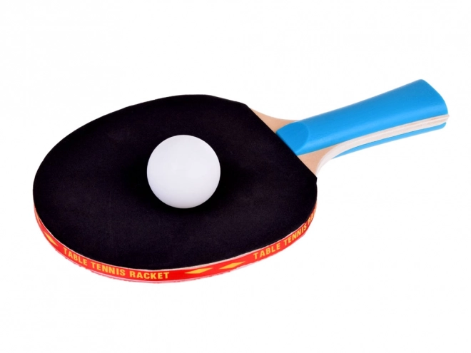 Raquettes de ping-pong en bois avec balles