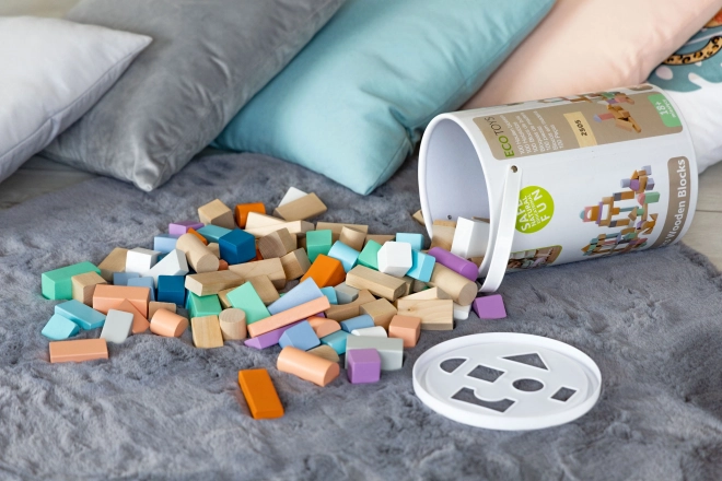Blocs en bois 100 pcs dans un seau avec trieur Ecotoys