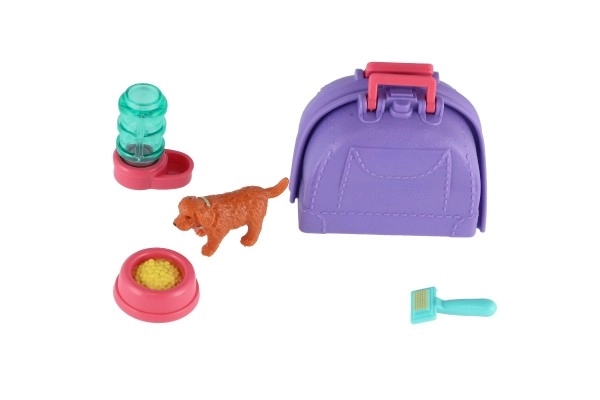 Petit chien avec boîte de transport et accessoires