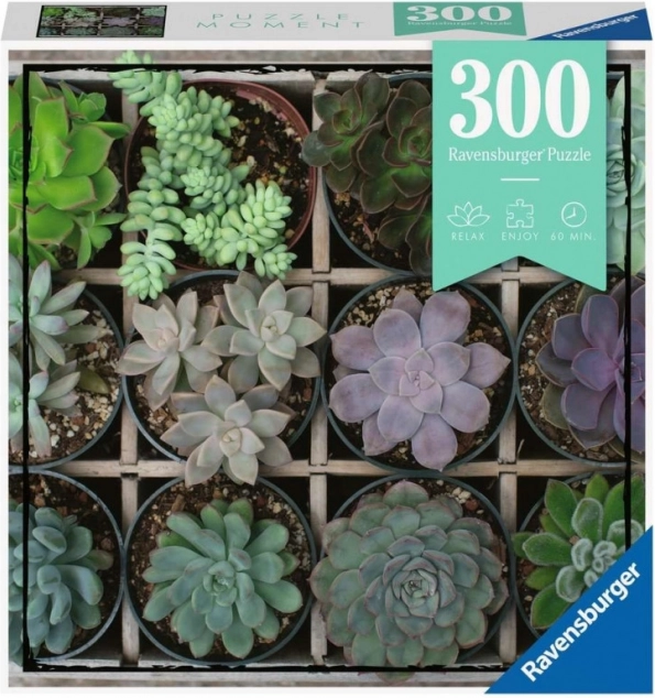 Ravensburger Puzzle Moments – motifs végétaux 300 pièces
