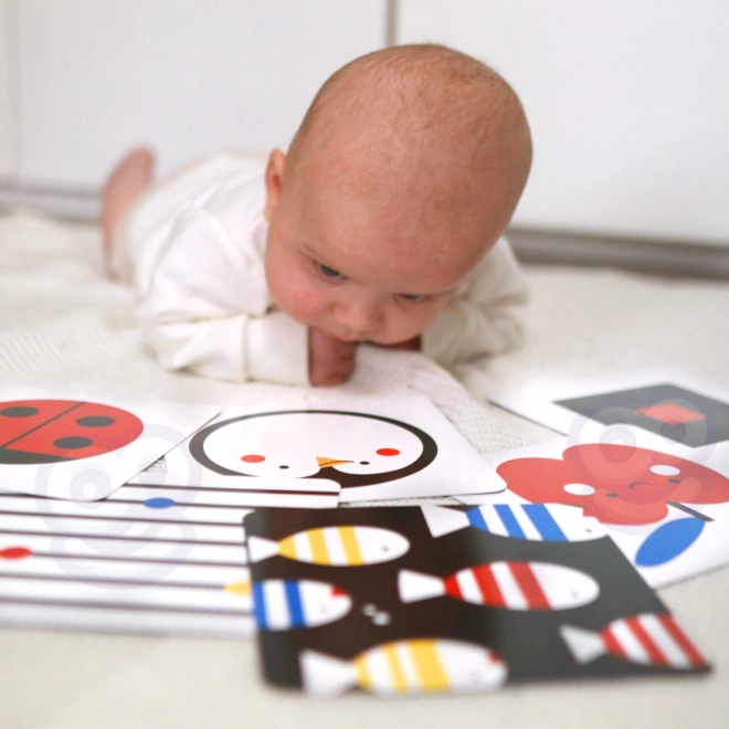 Boîte Montessori XXL éducative 7 en 1 TOOKY TOY
