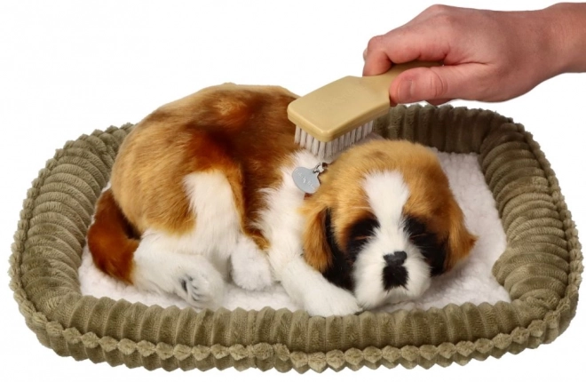 Chiot saint-bernard en peluche respirant