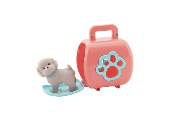 Petit animal dans une boîte de transport