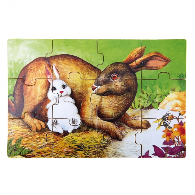 Puzzle en bois d'animaux dans une boîte