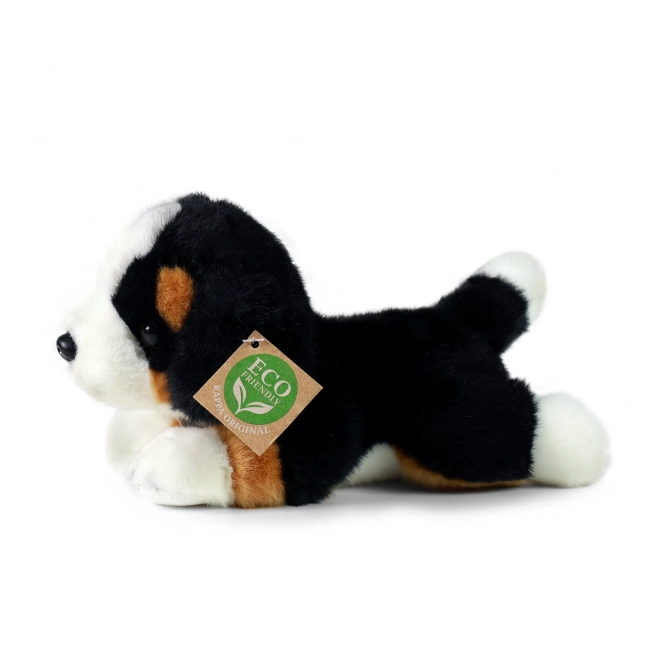 Chien de montagne bernois en peluche allongé 20 cm ÉCOLOGIQUE