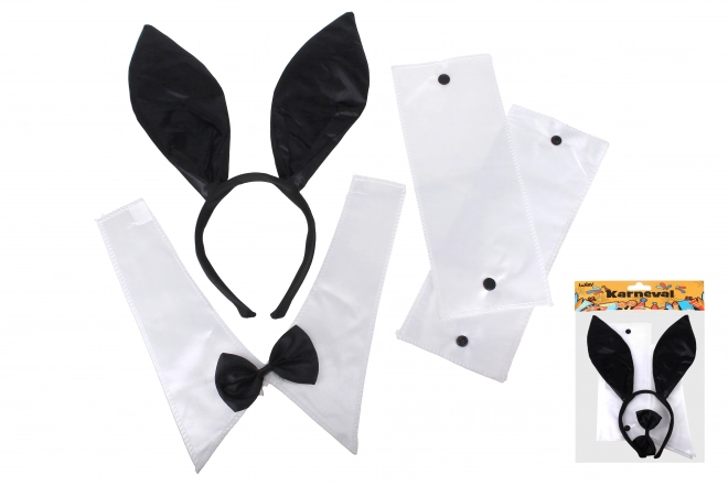 Ensemble de carnaval - lapin