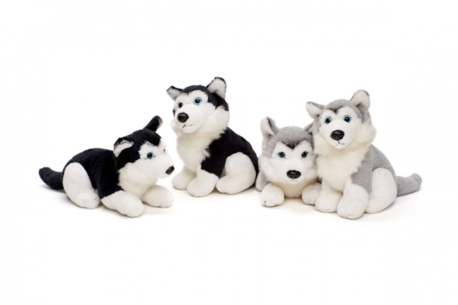 Husky en peluche 15 cm