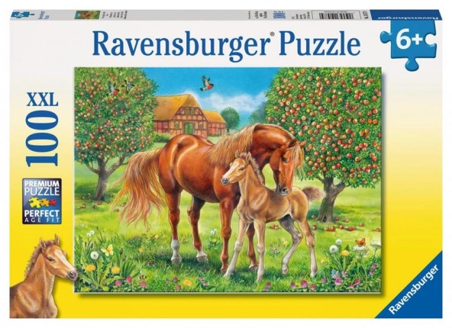 Puzzle Chevaux dans le pré XXL