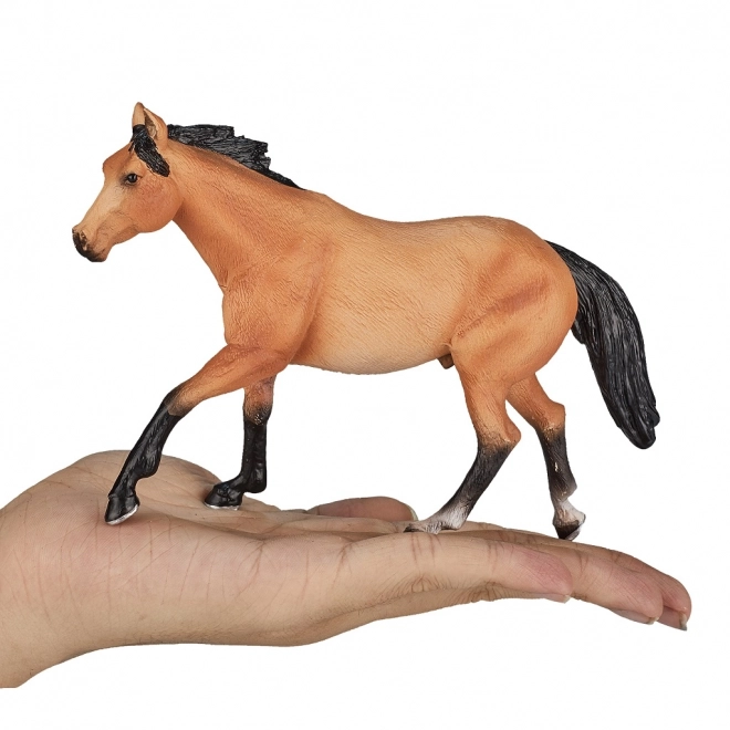 Mojo Cheval marin
